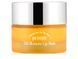 Ночная маска для губ с витамином E и облепиховым маслом Oil Blossom Lip Mask Sea Buckthorn Oil M1335 фото 1